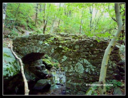 Petit frère du pont du Diable