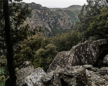 Les gorges d’Héric depuis la montée au col de Bartouyre