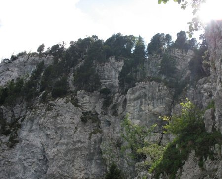 Crêtes des Dents de Lanfon (face E) vues du plateau