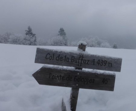 Panneau de bois au col de la Buffaz (1430m)