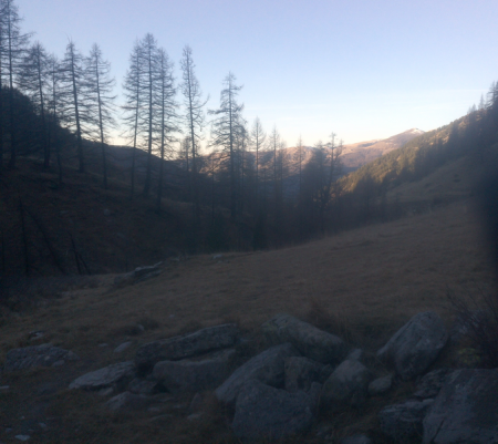 Montée tranquille dans la forêt