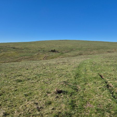 À travers les prairies