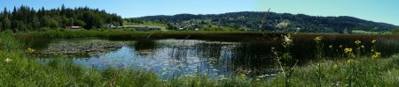 Vue sur le lac entre Port Titi et la passerelle sur le Doubs