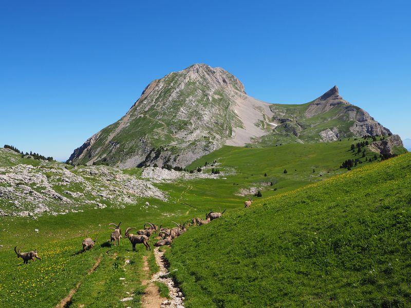 Hauts Plateaux Du Vercors Traversee D Archiane Au Col De Rousset Randonnee Vercors Treschenu Creyers